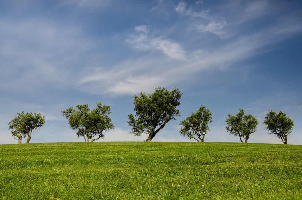 Grasland vervangen door intensieve akkerbouw schaadt de landbouwtransitie
