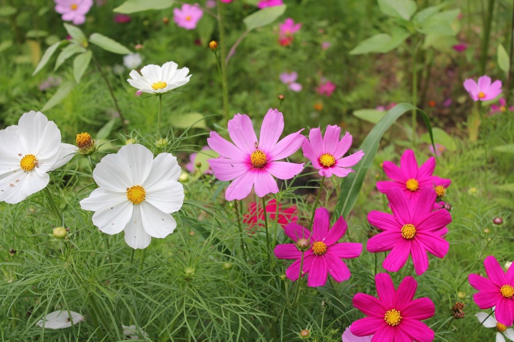 Wroeten in de aarde om de boer-burgerrelatie te&nbsp;versterken